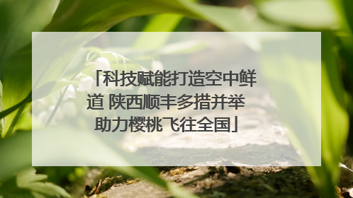 科技赋能打造空中鲜道 陕西顺丰多措并举助力樱桃飞往全国